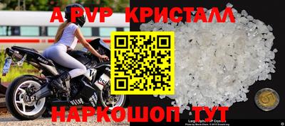 герыч Кингисепп