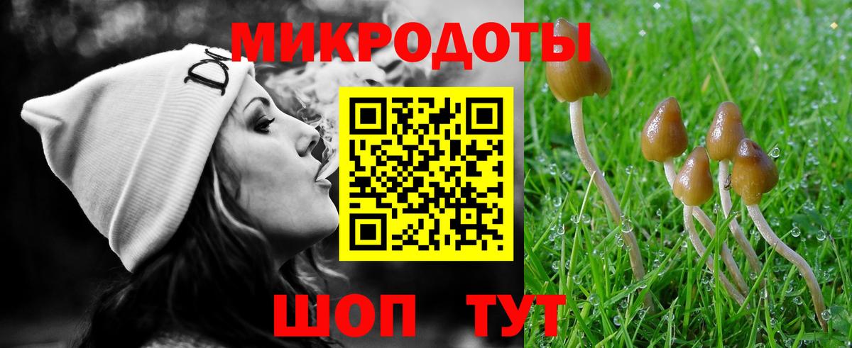 Красноармейск  Псилоцибиновые грибы Cubensis  Вход с VPN 